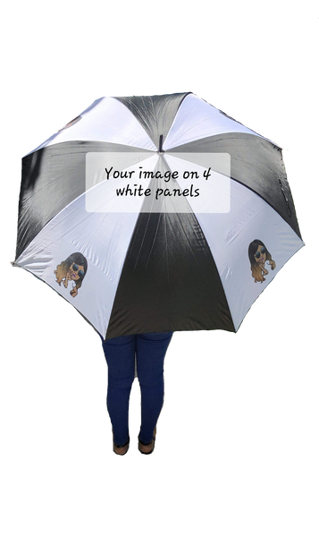 Photo umbrella